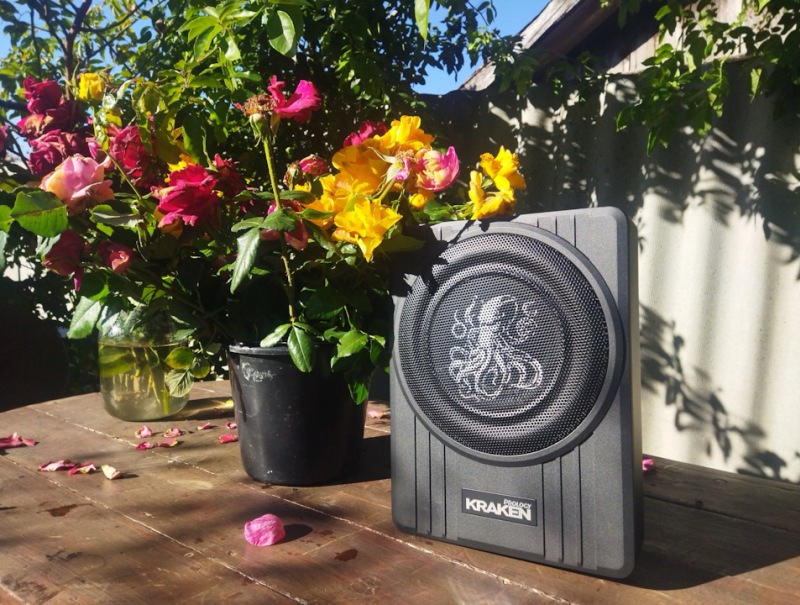 Изображение Обзор с DRIVE2: Хватит ли баса?